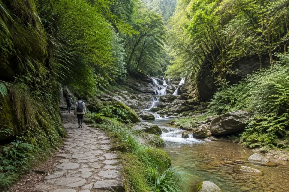 Naturaleza de Furong