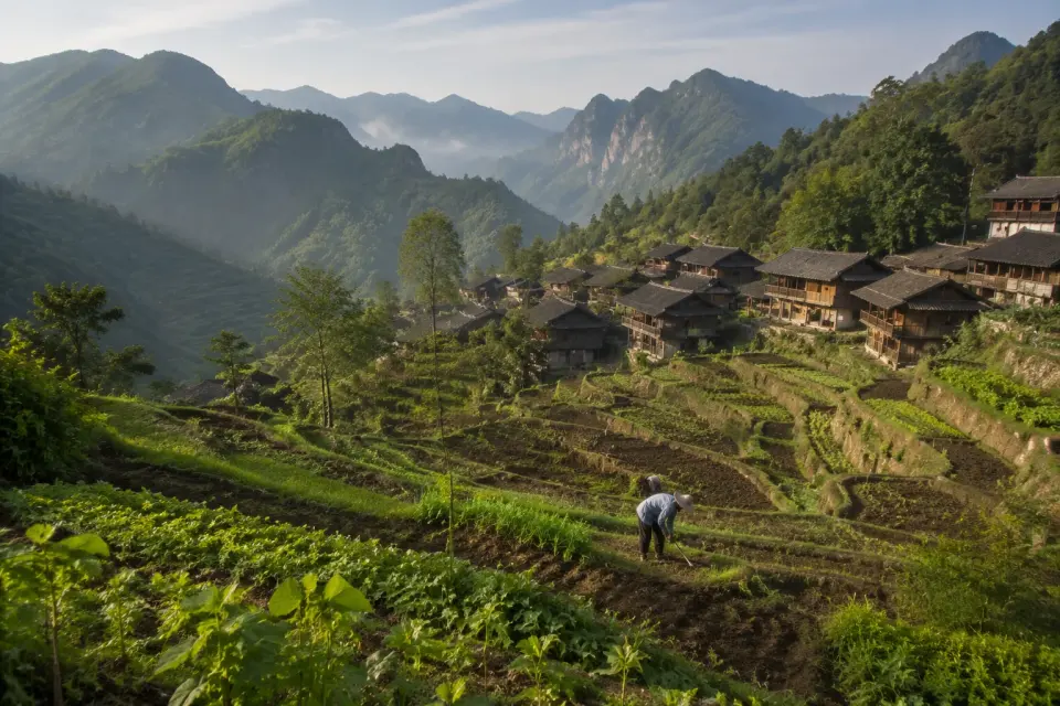 Terrazas de arroz en Furong