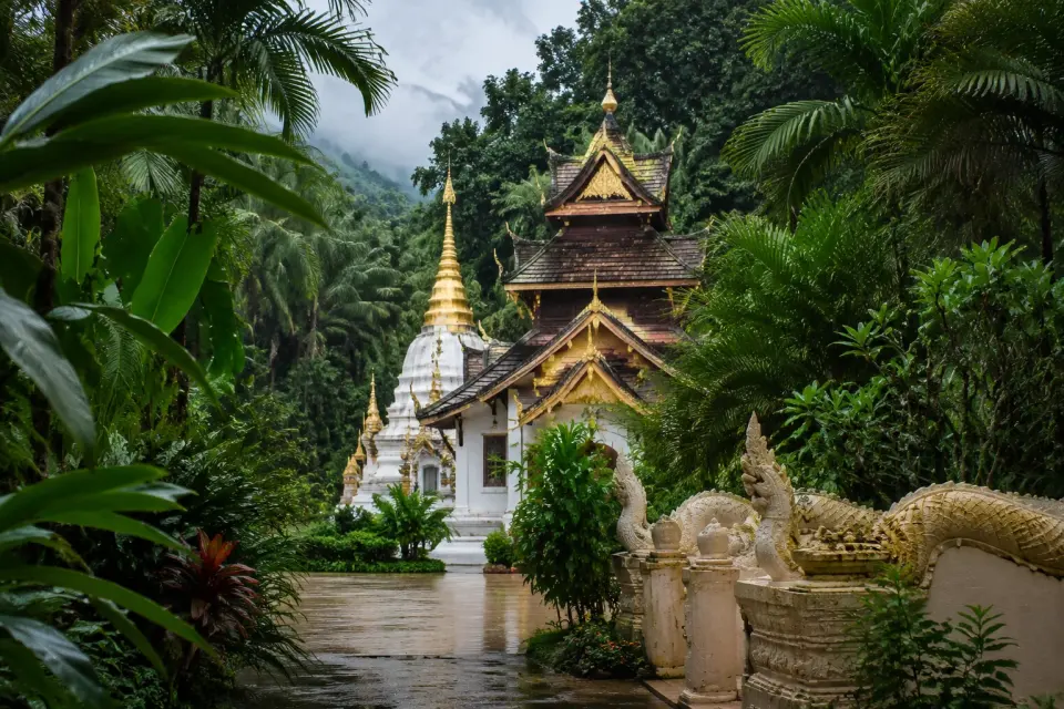 Xishuangbanna tropical